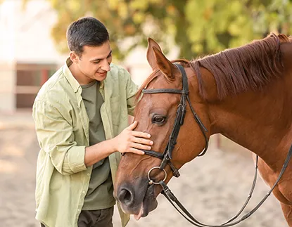 Equine Therapy